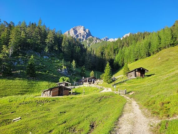 Steinalm