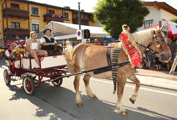 Reiten und Pferdekutschen- fahrten