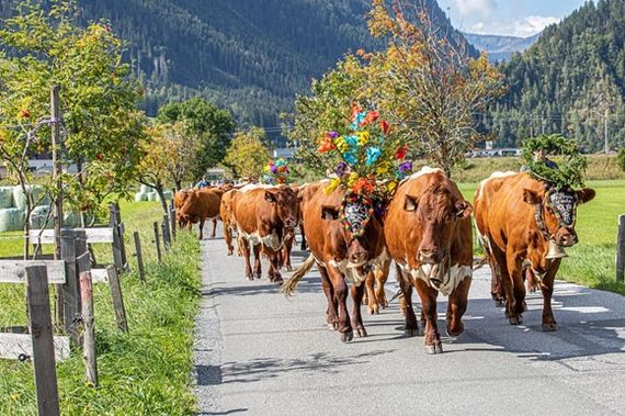Tractor World Championships 2018