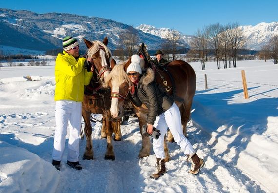 Reiten und Pferdekutschen- fahrten