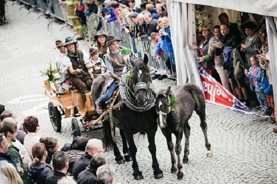 Hinterglemmer Bauernmarkt