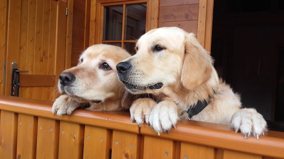 Chalet with large Veranda